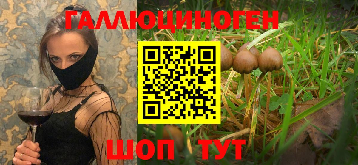 Саранск  Галлюциногенные грибы Magic Shrooms  Вход с VPN 
